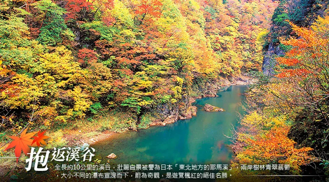 限量銷售~楓迷東北山形庄內旅遊|賞楓名所~奧入瀨溪.抱返溪谷.中尊寺.銀山溫泉街.猊鼻溪遊船.法體瀑布.百選溫泉五日
