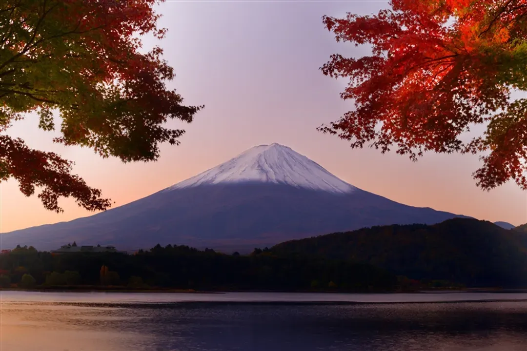 東京旅遊｜賞楓名所～新宿御苑.河口湖紅葉祭.身延山纜車.天晴號遊船.里根場合掌村五日｜高雄來回