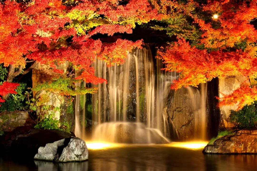 楓紅大阪旅遊│海之天橋立,森之美山町合掌村,茶之平等院,伊根舟屋,楓紅姬路城~好古園五日│一晚溫泉│高雄來回