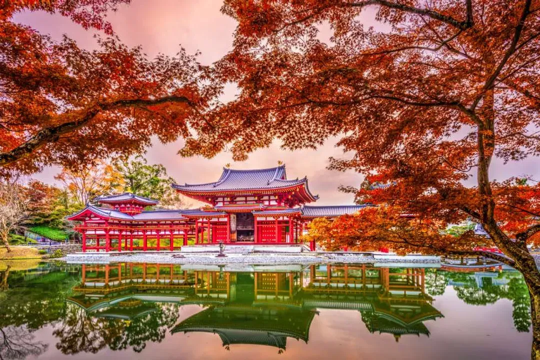 日本旅遊,關西,京都,宇治市,平等院