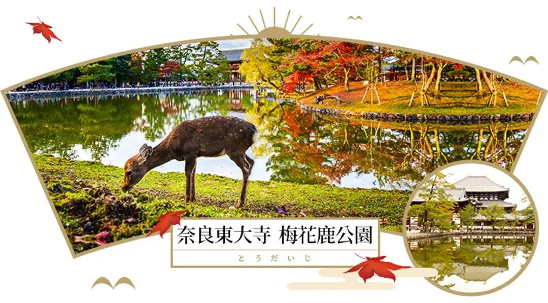 undefined-1