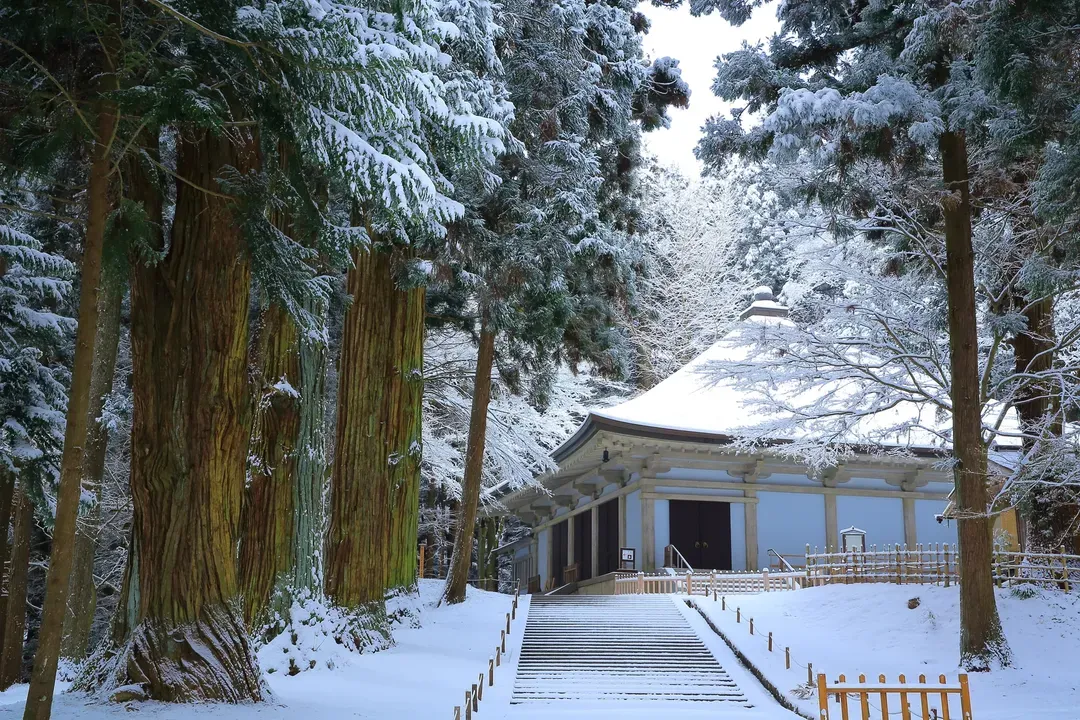 冬季｜花卷好享吃｜銀山溫泉.立石山寺.中尊寺.松島遊船.牡蠣漢堡.採果體驗.酒造.購物.雙溫泉五日【花仙.花花】-5