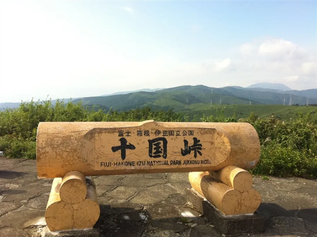 迎春-2000｜東京旅遊｜東京迪士尼樂園.十国峠纜車.三島吊橋.熱海商店街.和牛燒肉.OUTLET.戲雪溫泉六日｜晚去晚回｜高雄來回-5