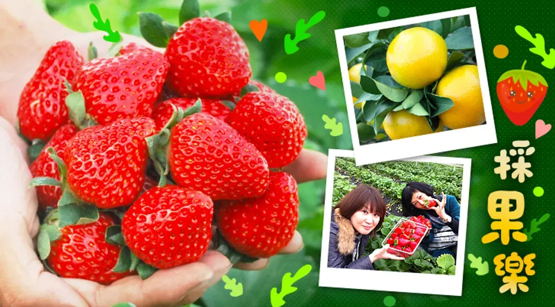 undefined-1
