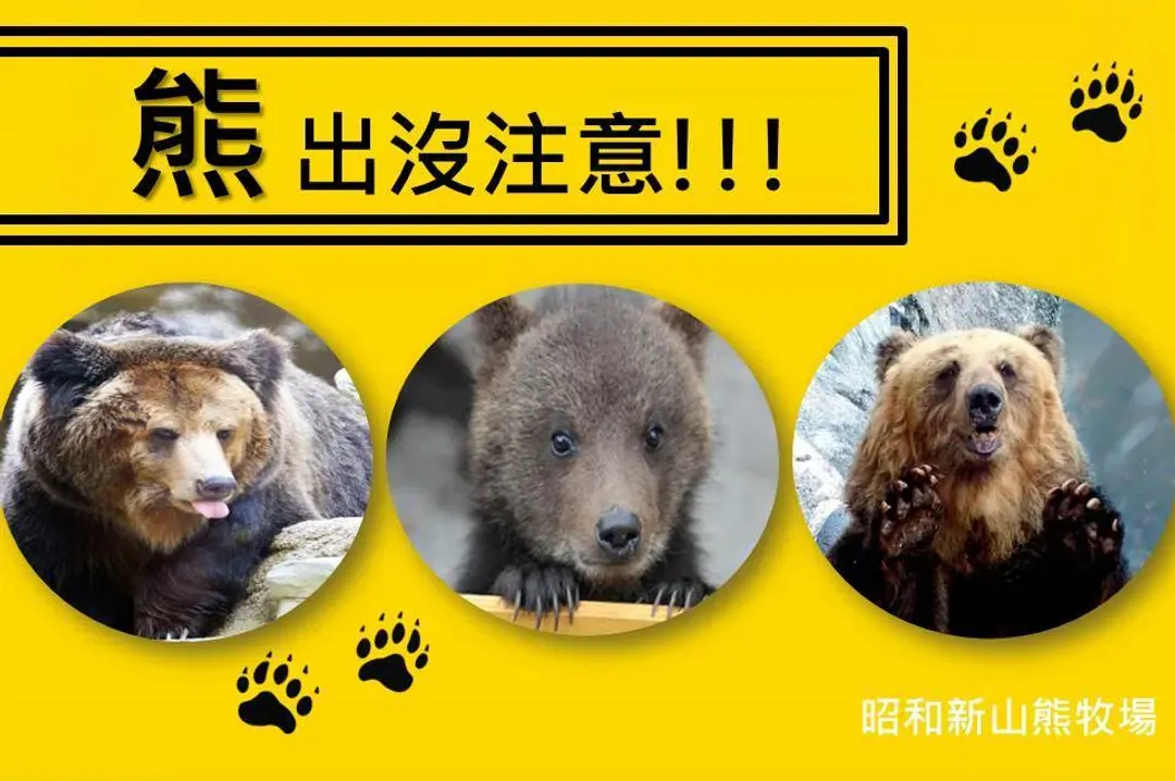 洞爺銀白世界