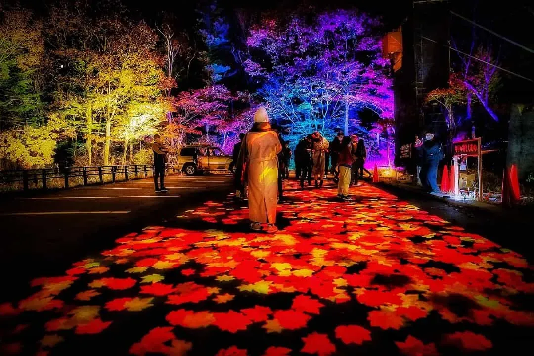 奇蹟紅葉谷-夜楓(層雲峽觀光協會提供)-奇蹟紅葉谷(夜楓;自費前往)