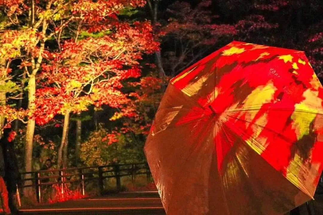 奇蹟紅葉谷-夜楓(層雲峽觀光協會提供)-奇蹟紅葉谷(夜楓;自費前往)