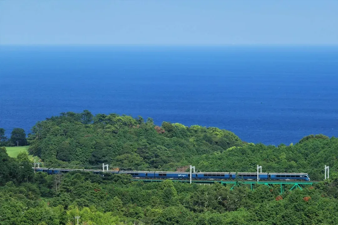 藍寶石伊豆踊子號列車(河津++東京)