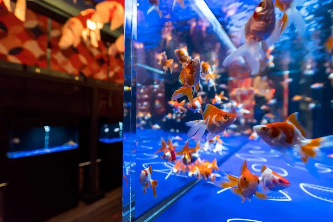 墨田水族館