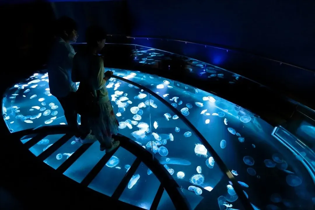 墨田水族館