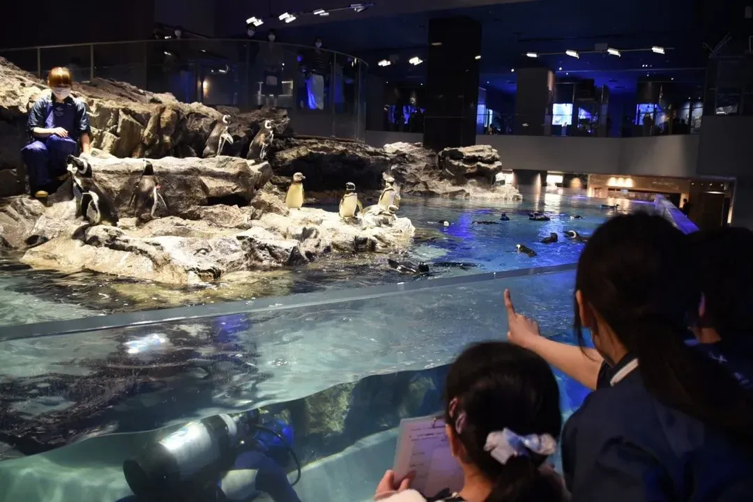 墨田水族館