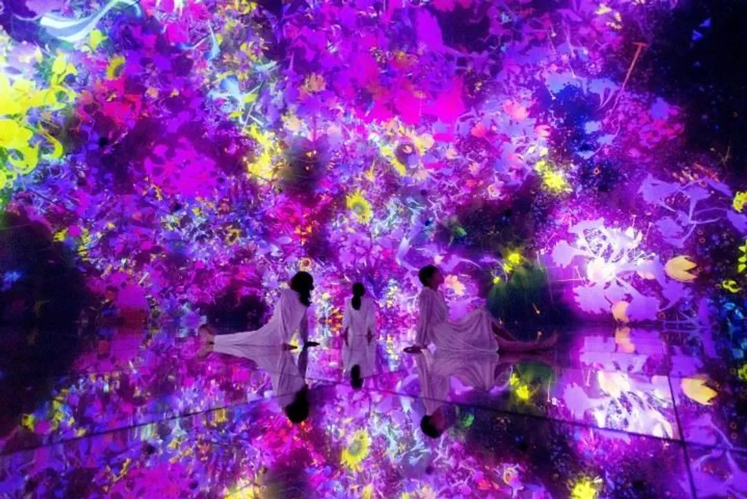 teamLab《漂浮於落花世界》© teamLab-teamLab Planets TOKYO(豐洲光影美術展)