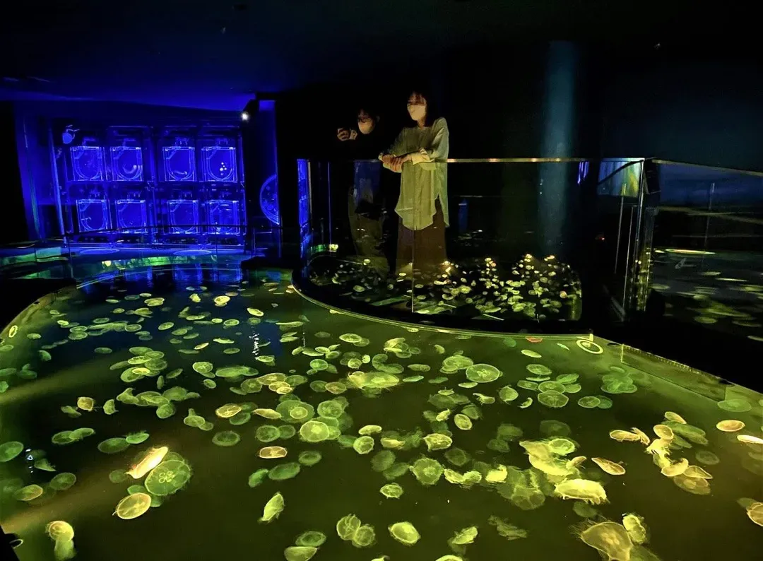 墨田水族館