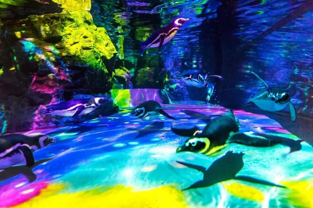 墨田水族館