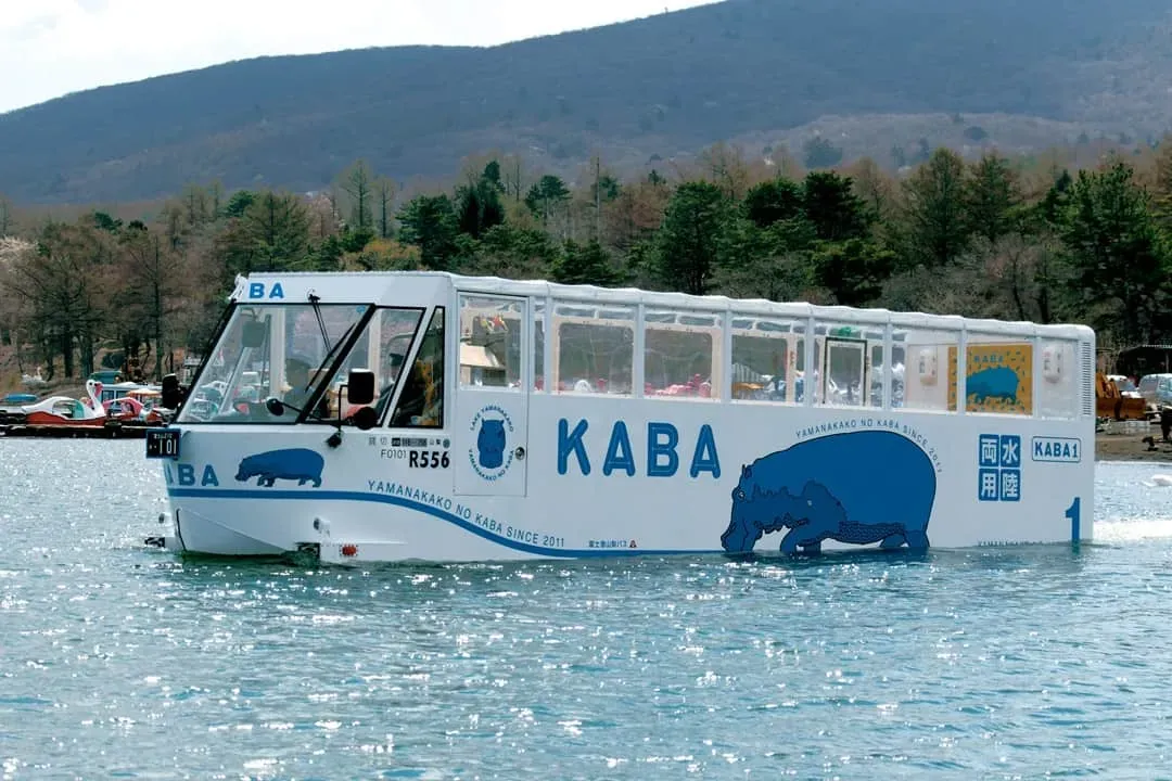 山中湖的河馬｜KABA水陸兩用巴士
