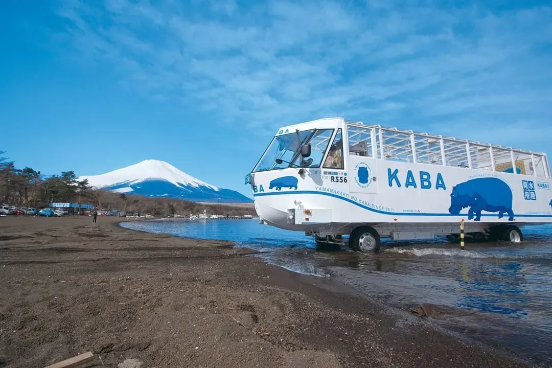 山中湖的河馬｜KABA水陸兩用巴士