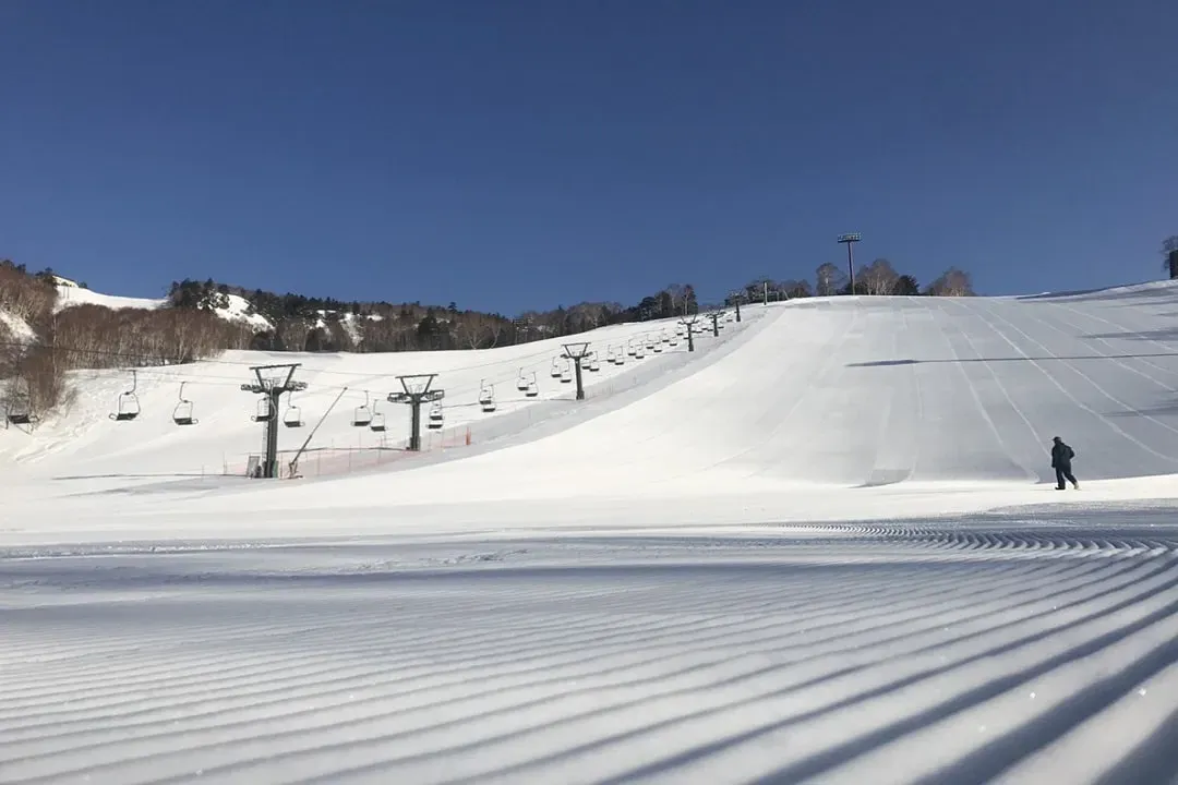 初級滑雪體驗或戲雪活動(二選一)