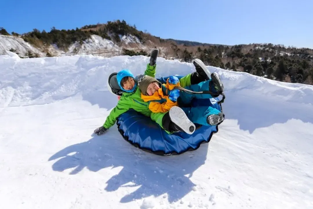 初級滑雪體驗或戲雪活動(二選一)