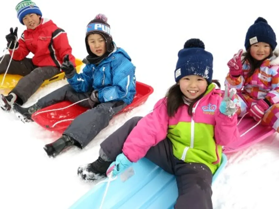 初級滑雪體驗或戲雪活動(二選一)
