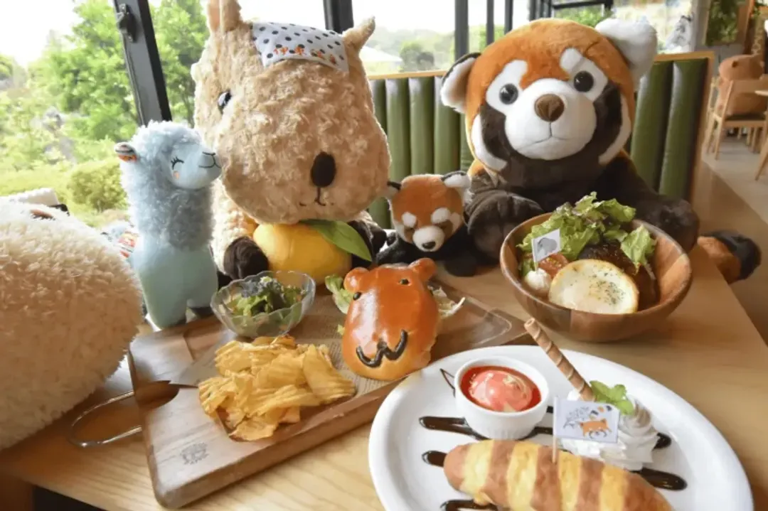 伊豆仙人掌動物公園-仙人掌動物公園