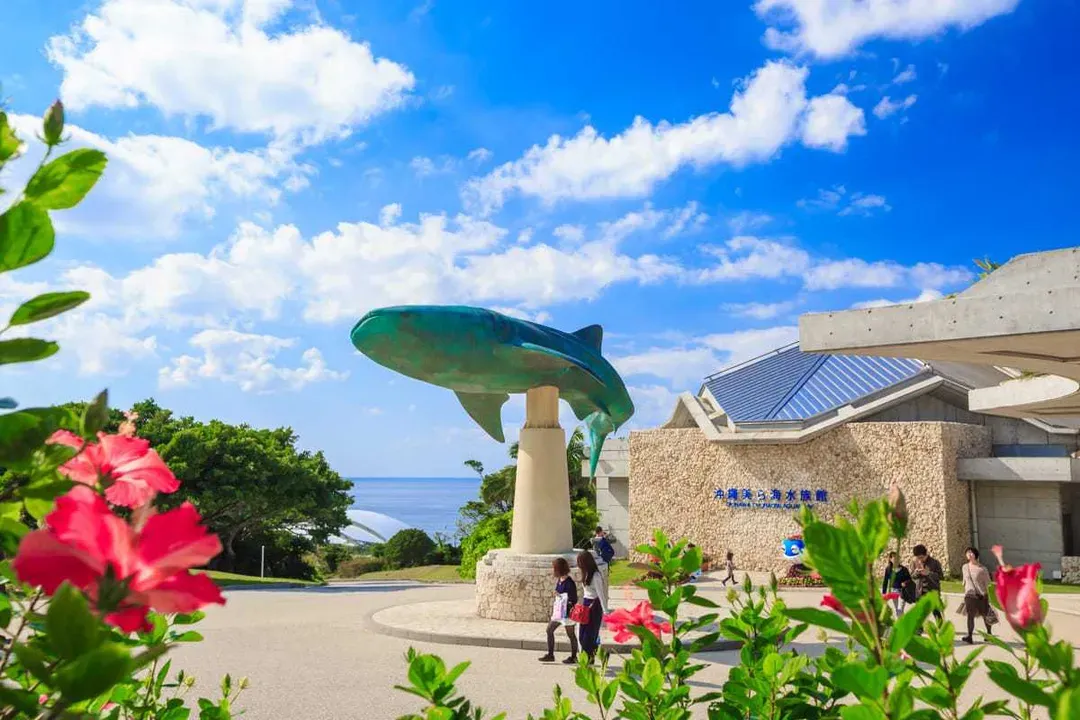 照片來源：美麗海水族館官網-美麗海水族館(海洋博公園)