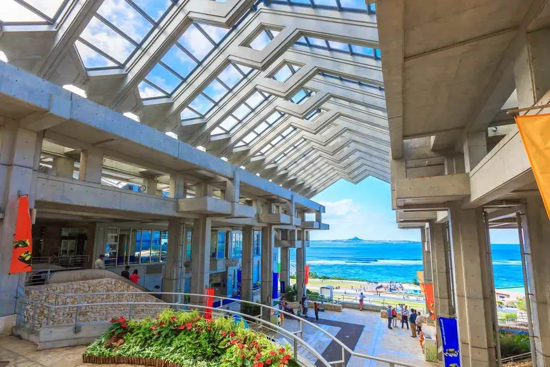 照片來源：美麗海水族館官網-美麗海水族館(海洋博公園)