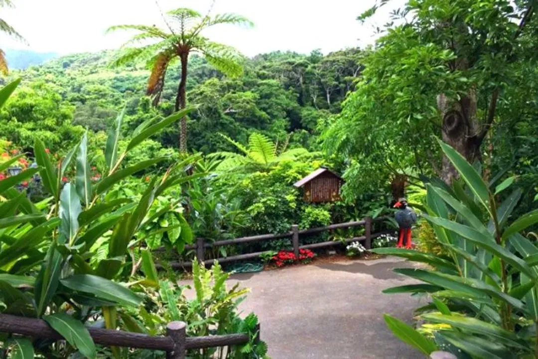 亞熱帶之森(圖片來自官網)-亞熱帶之森(恐龍主題公園)