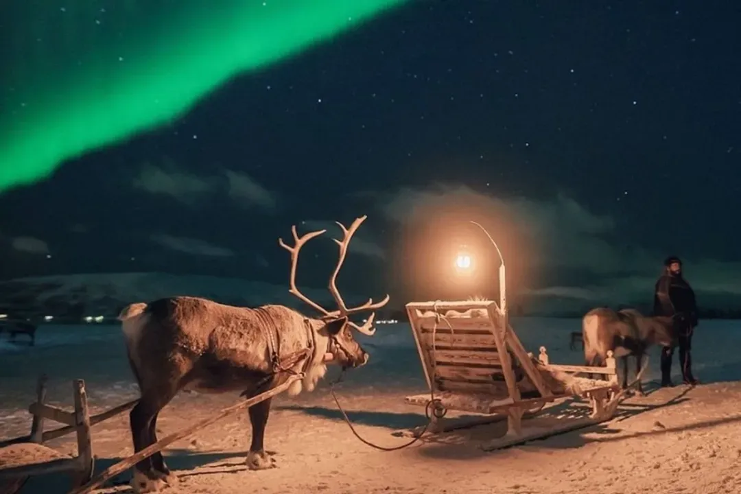 (Photo by Tromso Arctic)-北極圈之旅