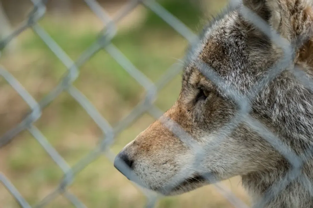 POLAR PARK BARDU-極地野生動物園(含門票)