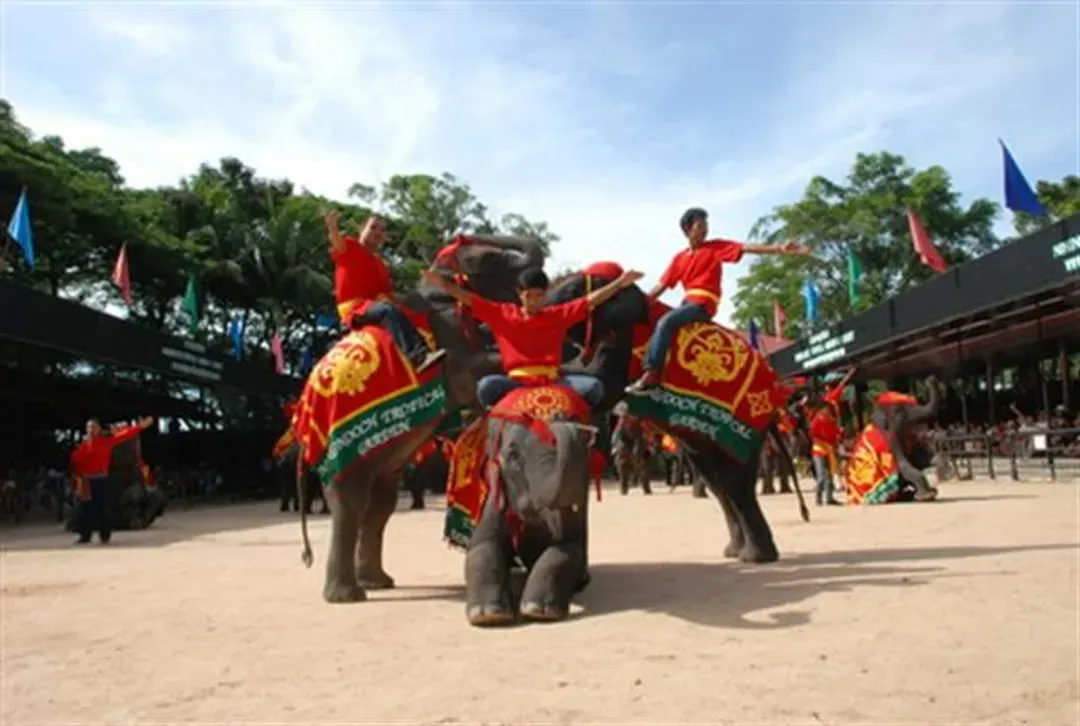 東芭樂園(遊園車、文化表演VIP席、大象表演、迷你動物區、蘭花園、恐龍天地)