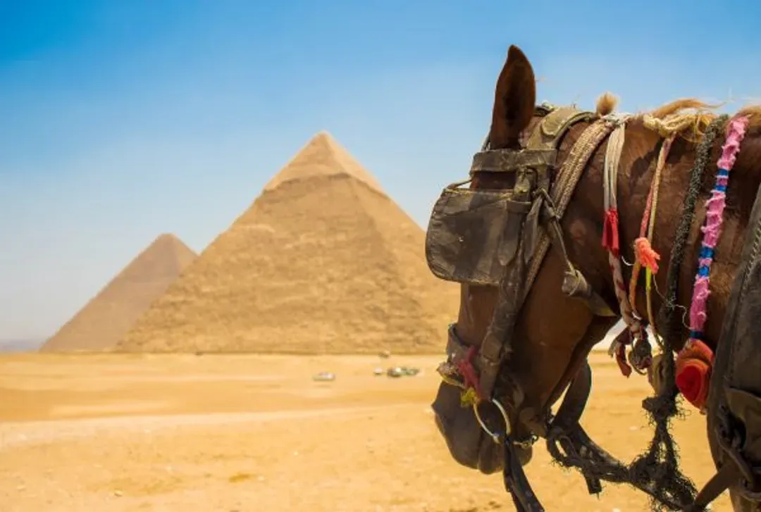 Giza Pyramids-吉薩金字塔群(人面獅身像)