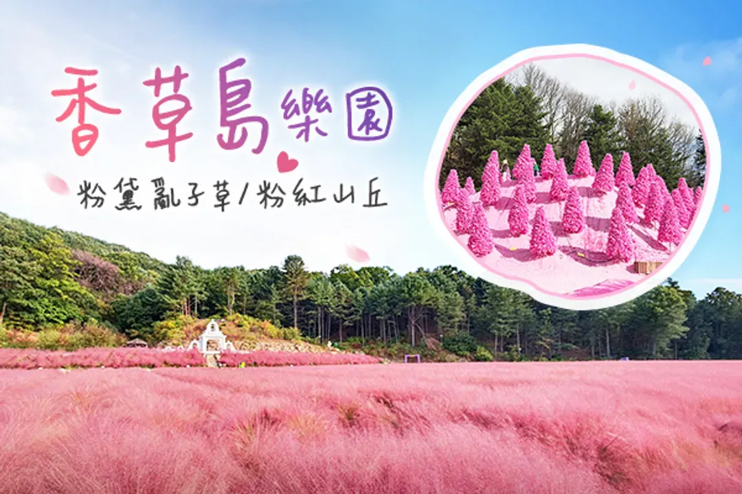 香草島樂園(粉黛亂子草+粉紅沙丘)