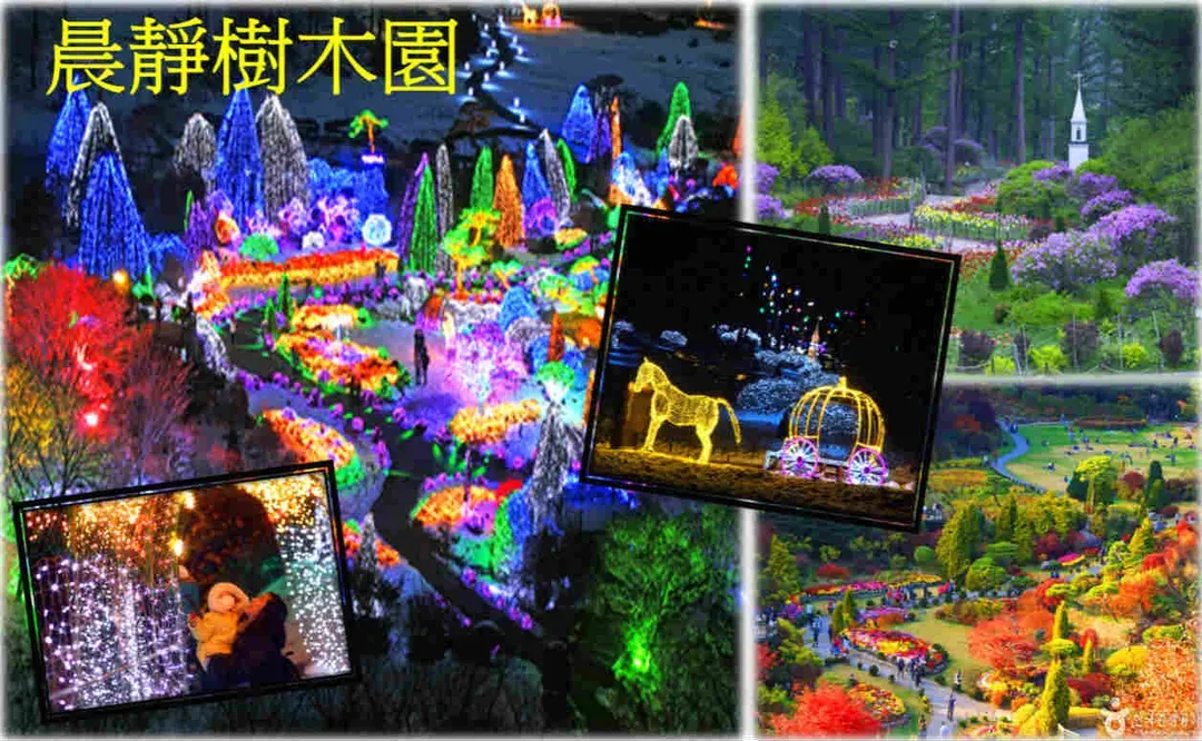 晨靜樹木園:五色星光庭園展(冬季限定)