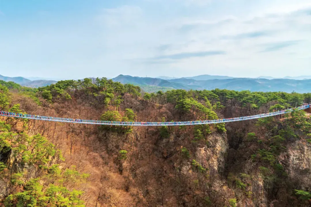 原州小金山吊橋(含纜車)
