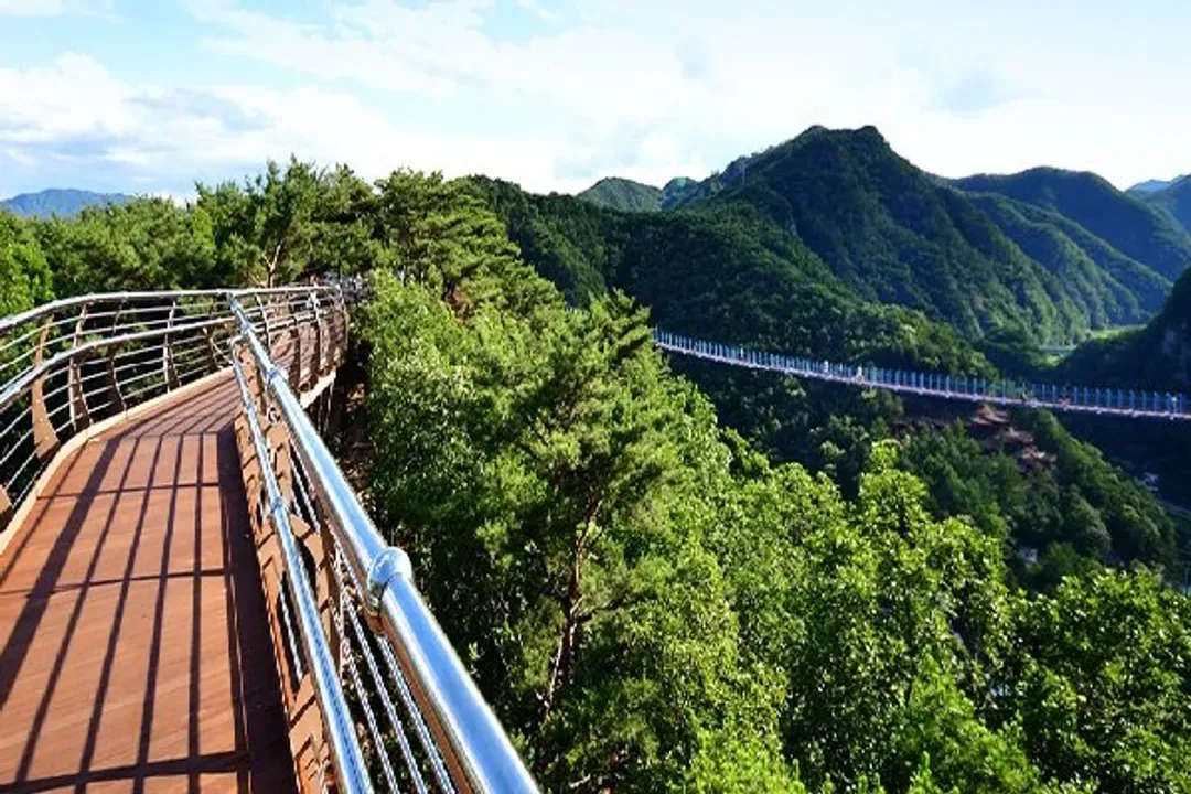原州小金山吊橋(含纜車)