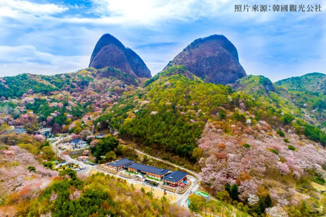 馬耳山道立公園(賞楓)
