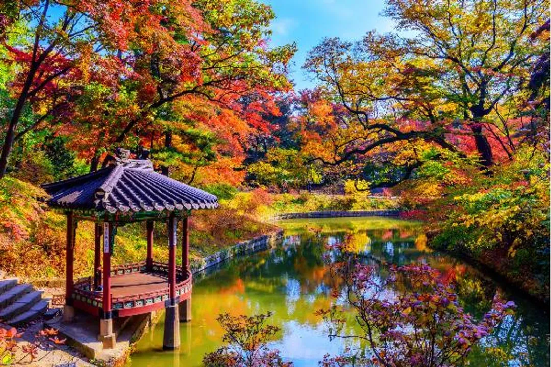 KHH韓國楓情萬種～楓情內藏山、紅葉馬耳山、廣藏傳統市場、全州韓服漫遊五日