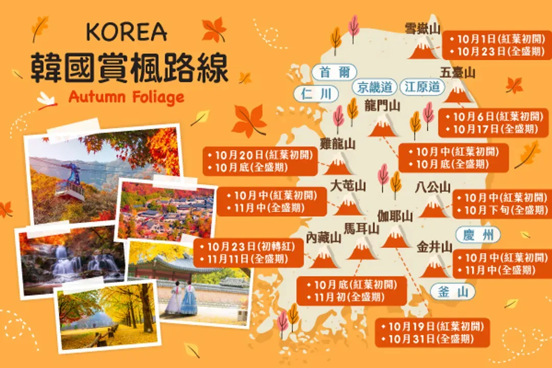 楓紅杏黃的秋天