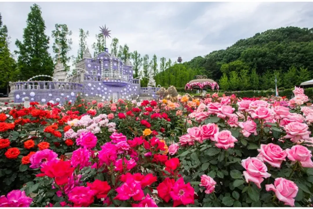 愛寶樂園(門票+自由券、季節賞花)