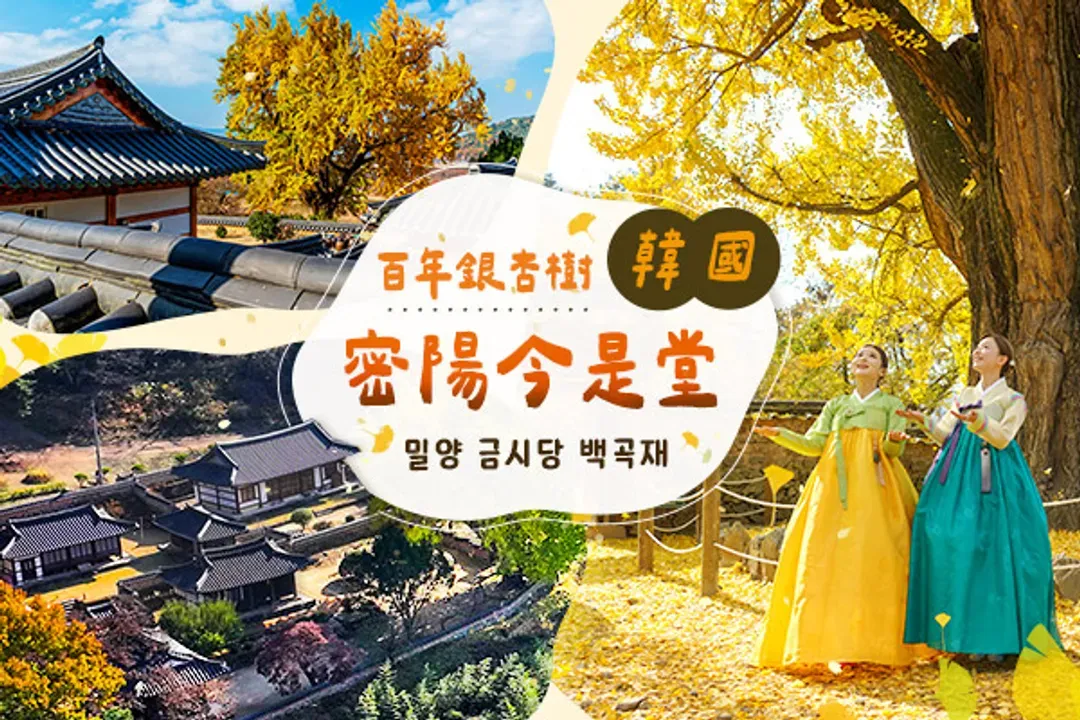 密陽今是堂-慶南紅葉銀杏