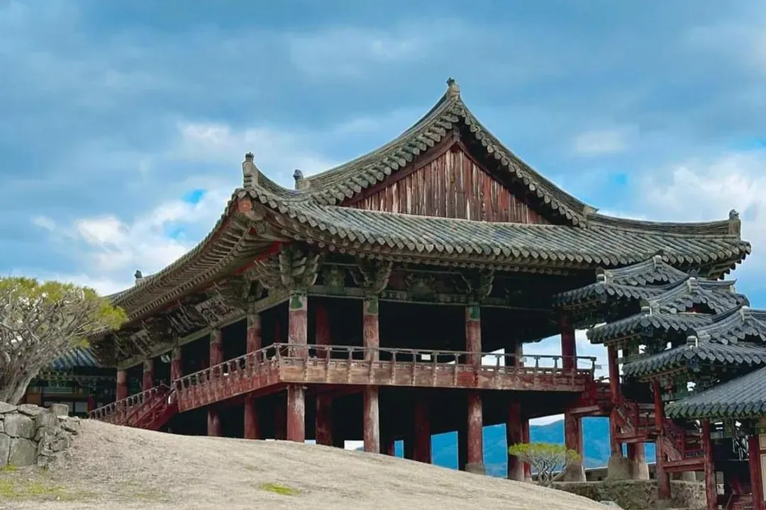 釜山國際煙火節～紅葉銀杏賞、天空膠囊列車、千年森林庭園、密陽賞銀杏五日-9