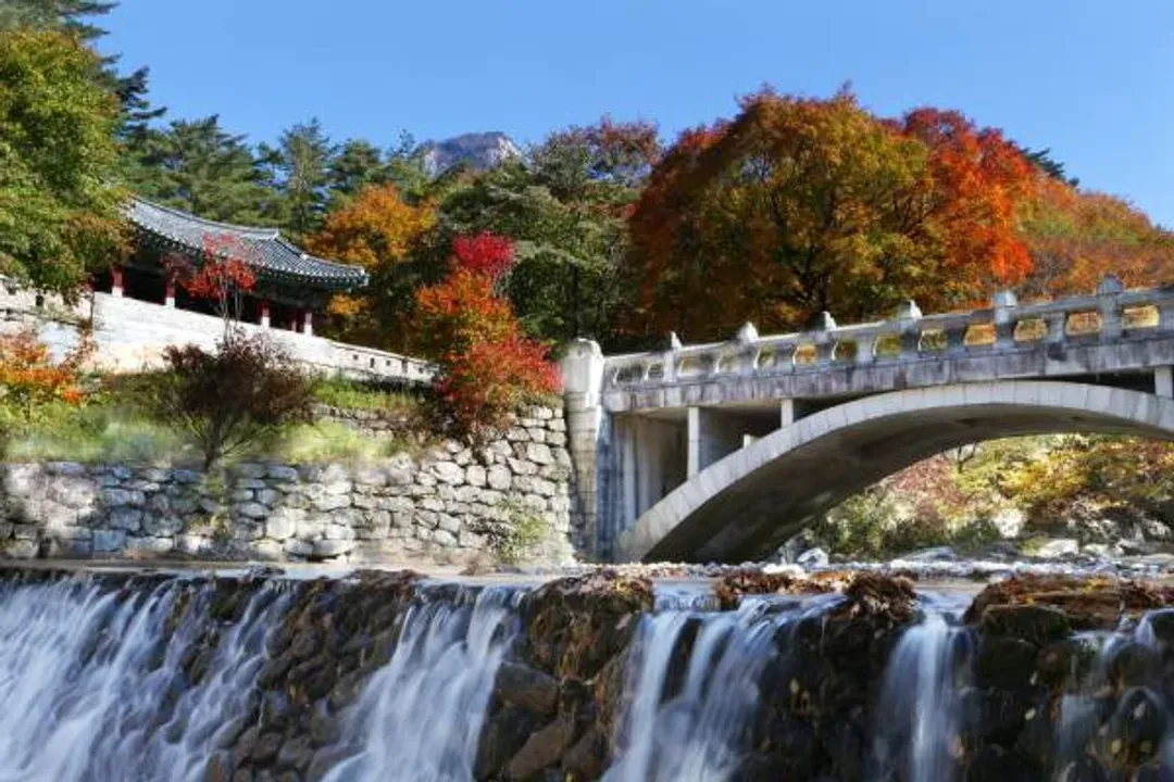 聞慶鳥嶺道立公園(賞楓)-聞慶鳥嶺道立公園(賞楓)