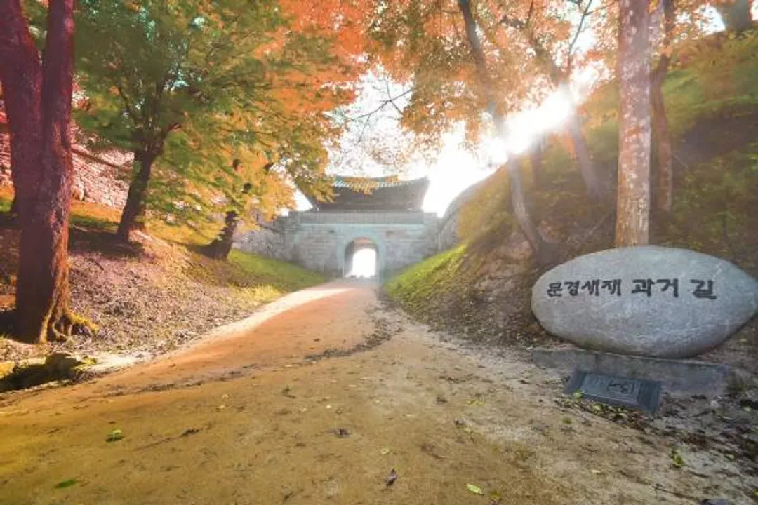聞慶鳥嶺道立公園(賞楓)-聞慶鳥嶺道立公園(賞楓)