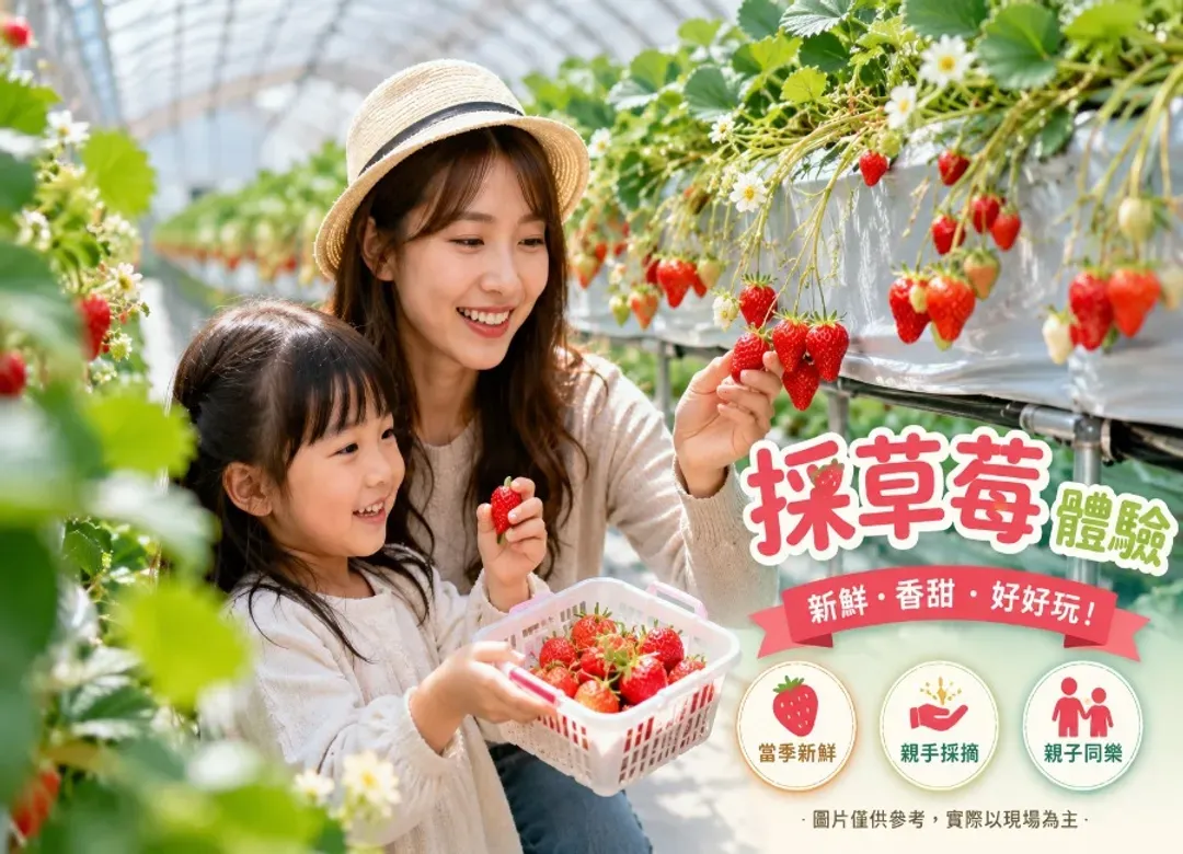 櫻花戀幸福九州雙溫泉5日.四浦半島河津櫻.阿蘇草千里.採草莓體驗.賞梅花太宰府.南阿蘇鐵道.河豚料理.燒肉吃到飽-6