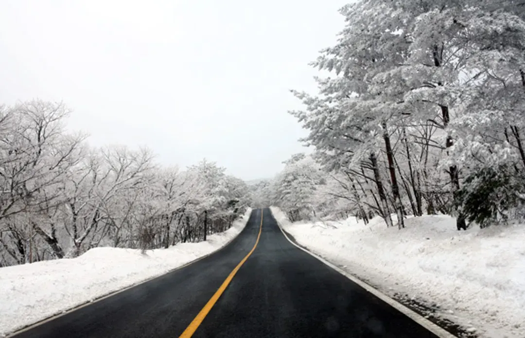 漢拏山(1100高地冬日雪景)