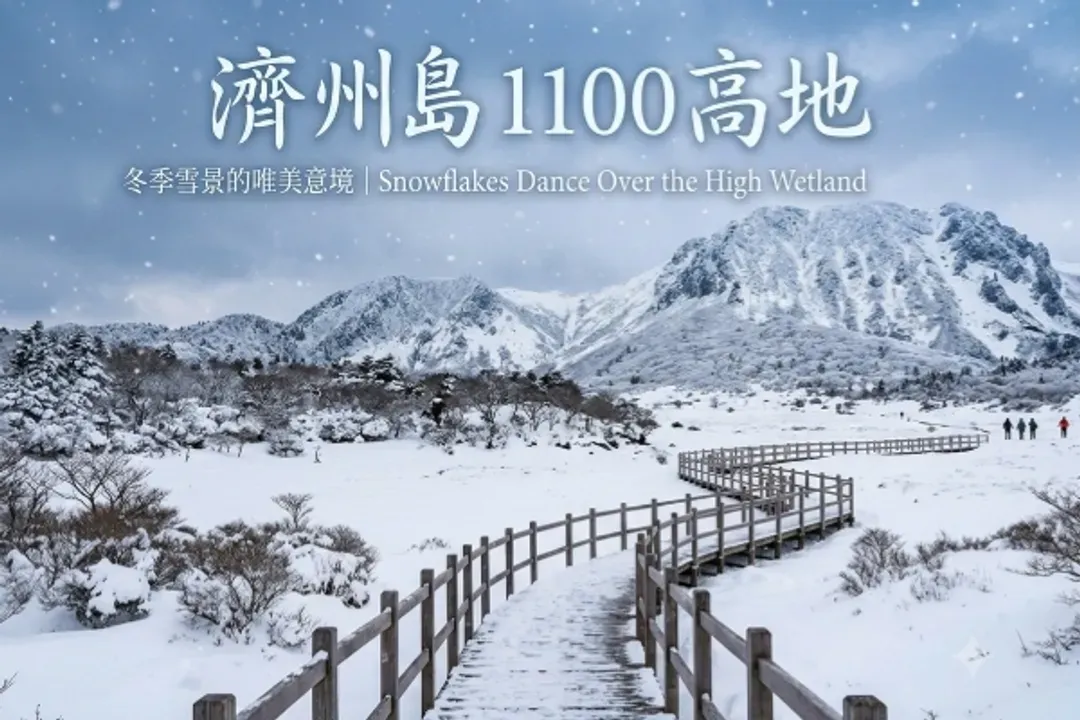 漢拏山1100高地-漢拏山(1100高地冬日雪景)