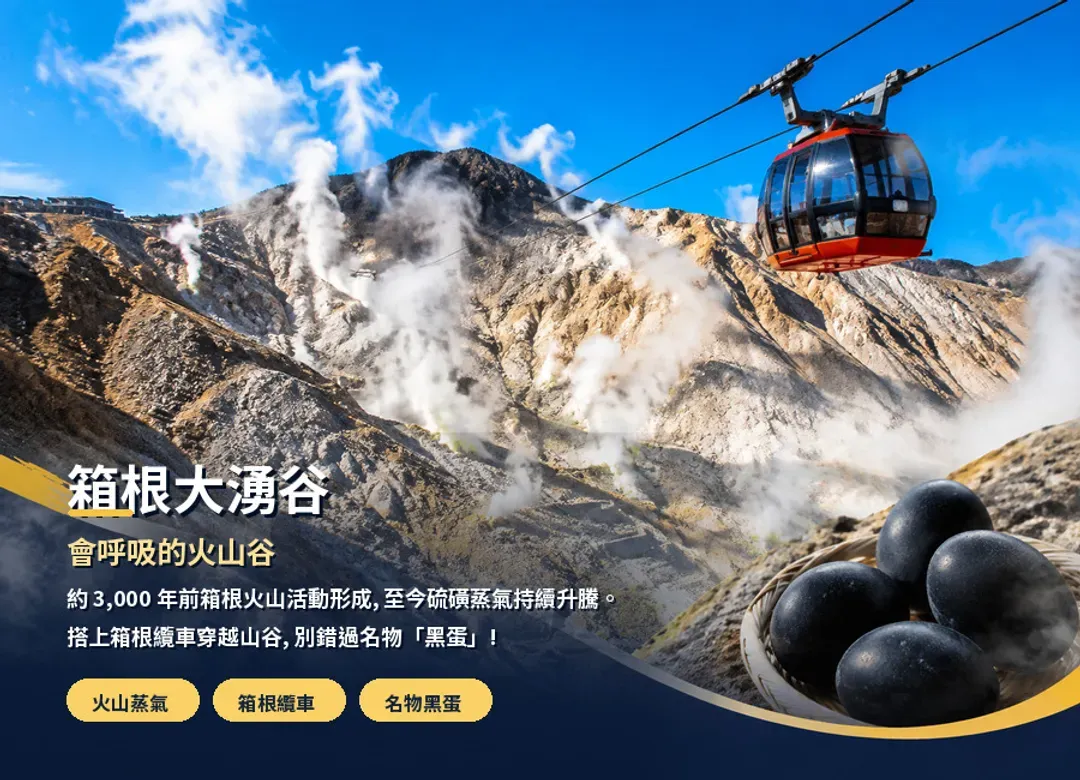 【限時限量】東京富士山溫泉5日.大石公園花海.蘆之湖海賊船.大涌谷散策.箱根神社.御殿場OUTLET-5