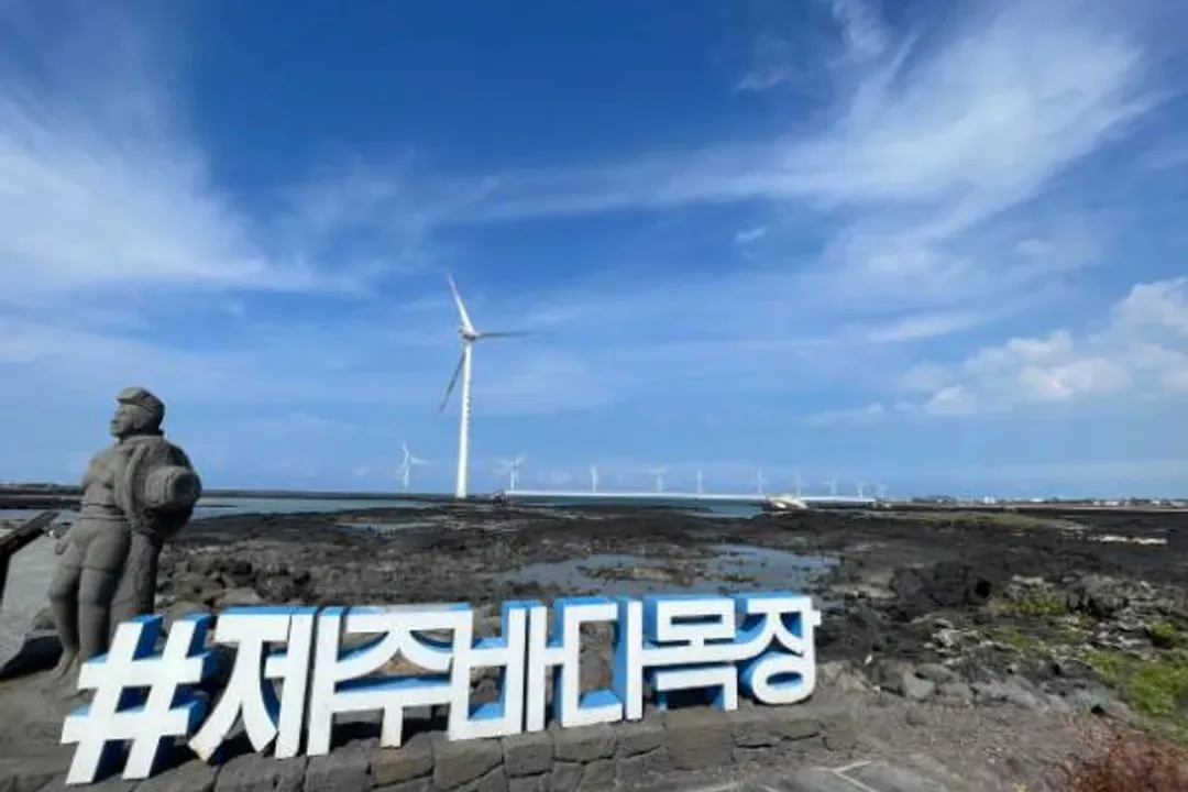 濟州好好玩~牛島海洋公園、沉浸式光影藝術、萬丈窟天帝淵、黑豚烤肉吃到飽五日-8