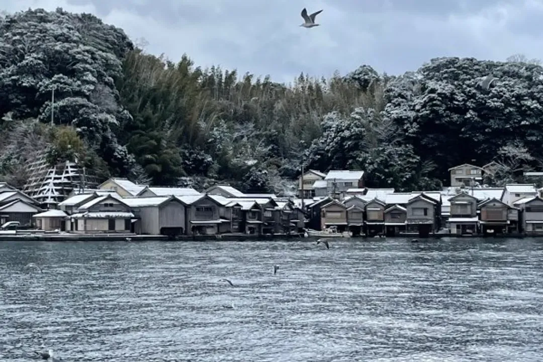 伊根灣觀光船(伊根舟屋)