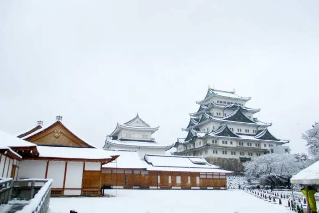 【蘋安賀歲、新春北陸】合掌村兼六園、採草莓雙點燈、牧歌之里戲雪、百選溫泉加賀百萬石五日-11